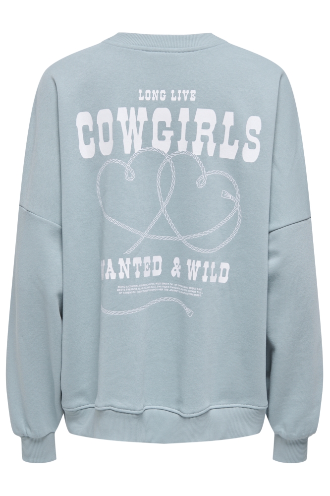 ONLSTINA L/S LOVELY O-NECK BOX SWT 15357086 ARONA/COWGIRLS